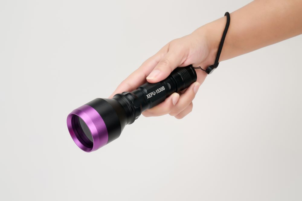 用紫外线手电筒观察CFW染料的荧光