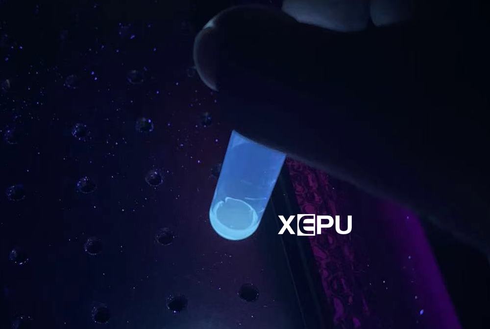 三波长紫外灯XEPU-1338LMS激发去铁铁蛋白发出荧光
