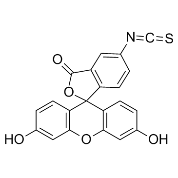 异硫氰酸荧光素FITC