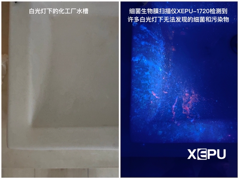 细菌微生物污染扫描仪XEPU-1720检测化工厂水槽污染物 细菌微生物污染扫描仪XEPU-1720检测化工厂水槽污染物