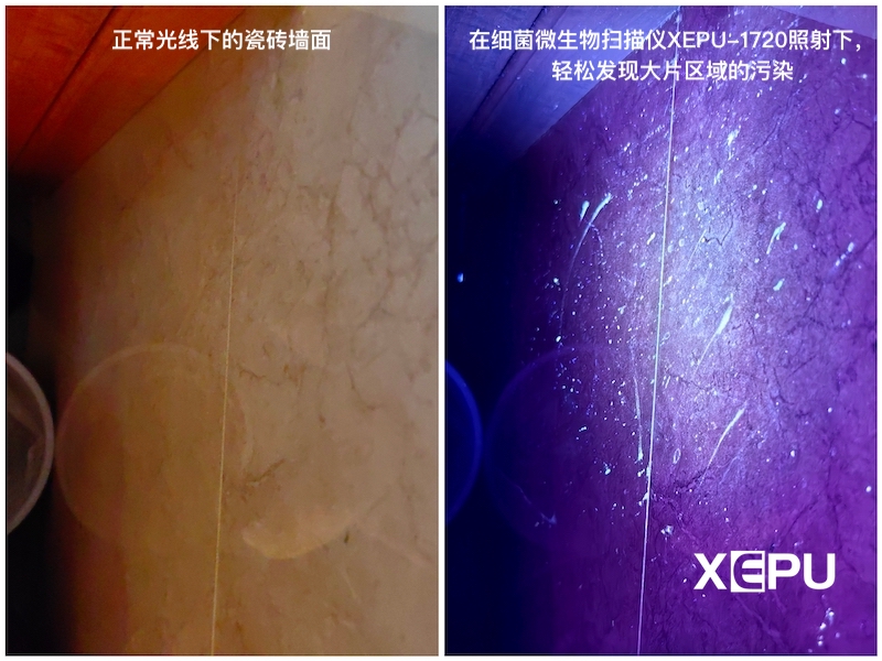 细菌微生物污染扫描仪XEPU-1720检测瓷砖墙面污染 细菌微生物污染扫描仪XEPU-1720检测瓷砖墙面污染